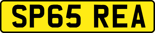SP65REA