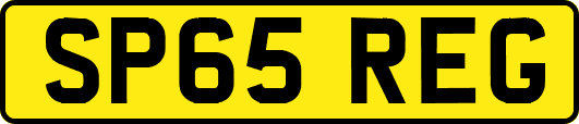 SP65REG