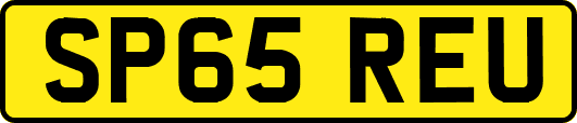 SP65REU
