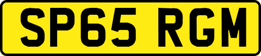 SP65RGM