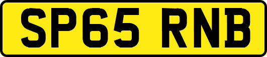 SP65RNB