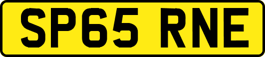 SP65RNE
