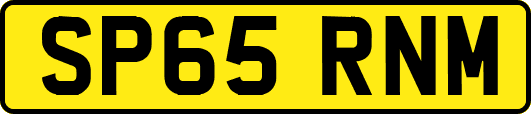 SP65RNM