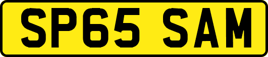 SP65SAM