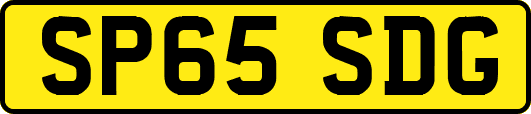 SP65SDG