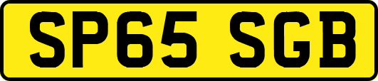 SP65SGB