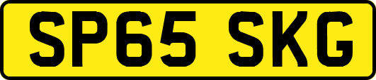 SP65SKG