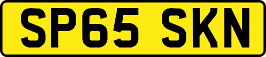 SP65SKN