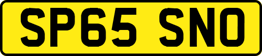 SP65SNO