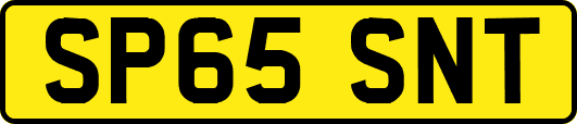 SP65SNT