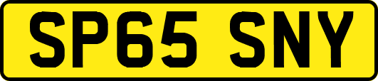 SP65SNY
