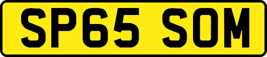 SP65SOM