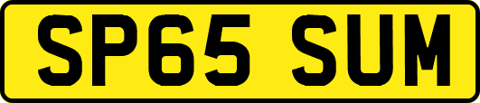SP65SUM
