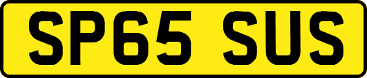 SP65SUS