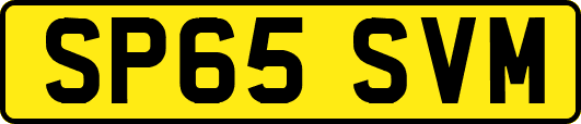 SP65SVM