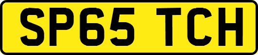 SP65TCH