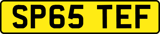 SP65TEF