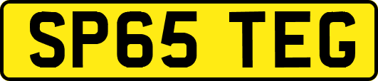 SP65TEG
