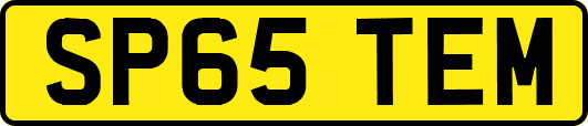 SP65TEM