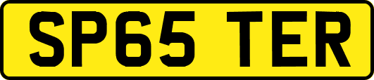 SP65TER