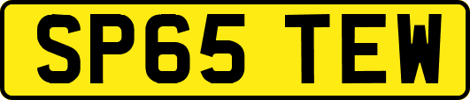 SP65TEW