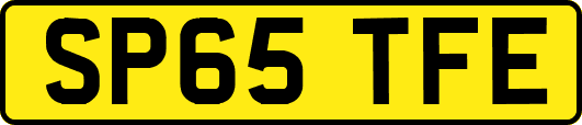 SP65TFE