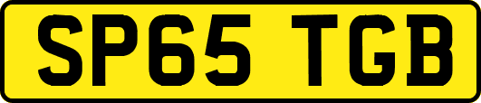 SP65TGB