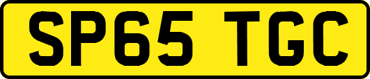 SP65TGC