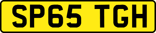SP65TGH