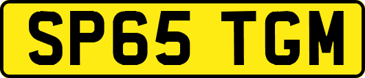 SP65TGM