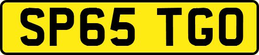 SP65TGO