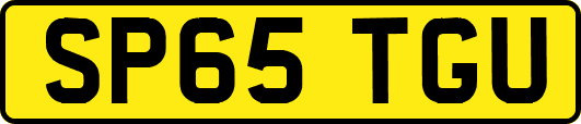 SP65TGU