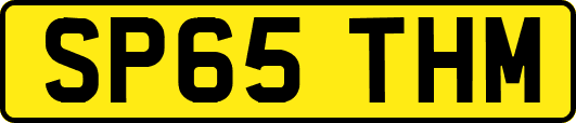 SP65THM
