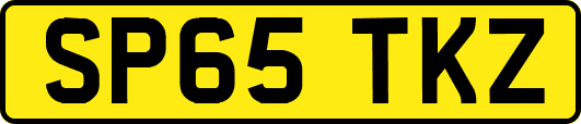 SP65TKZ
