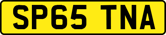 SP65TNA