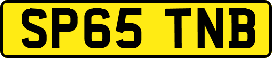 SP65TNB