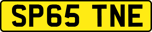 SP65TNE
