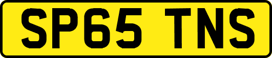 SP65TNS