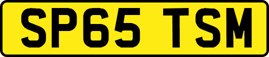 SP65TSM