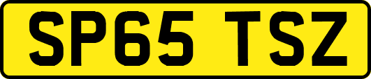 SP65TSZ