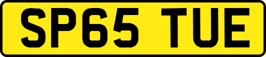 SP65TUE