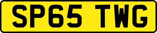 SP65TWG