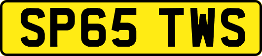 SP65TWS