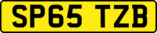 SP65TZB