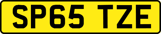 SP65TZE