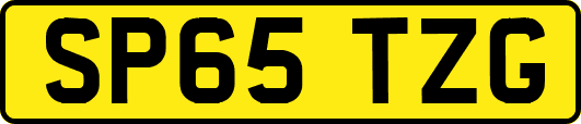 SP65TZG