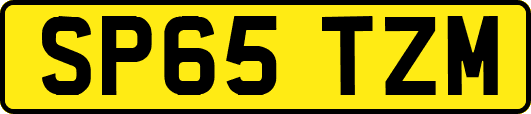 SP65TZM