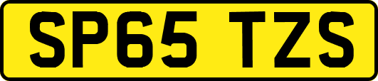 SP65TZS