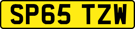 SP65TZW