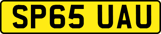 SP65UAU